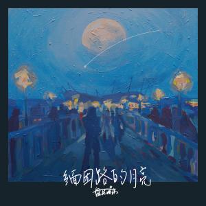 Listen to The Moon song with lyrics from 盘尼西林