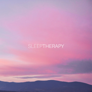 收聽SleepTherapy的Soft Conclusions歌詞歌曲
