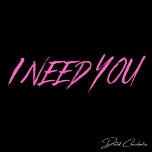 收聽David Chamberlin的I NEED YOU (Explicit)歌詞歌曲