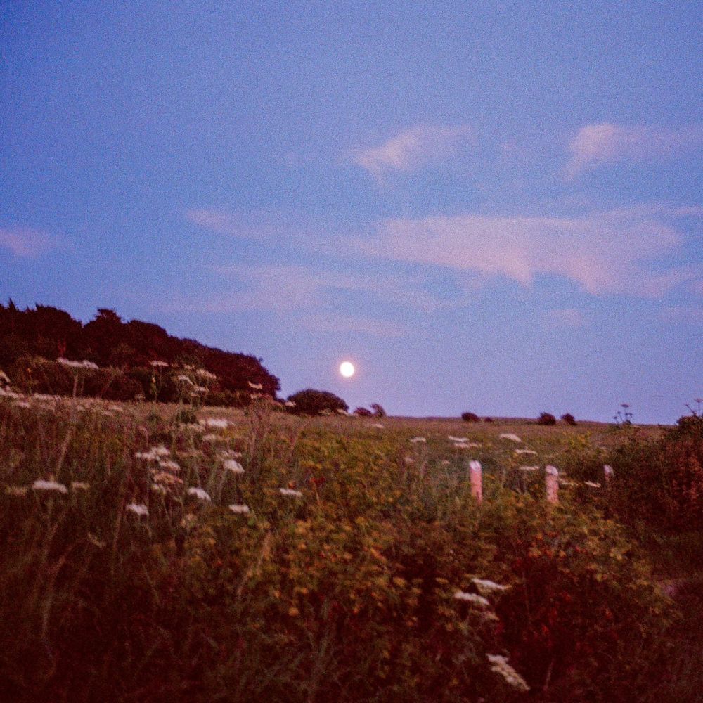 Quiet Light