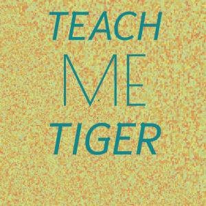 Silvia Natiello-Spiller的專輯Teach Me Tiger