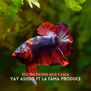 ดาวน์โหลดและฟังเพลง Pluma Desde Que Caiga พร้อมเนื้อเพลงจาก LA FAMA PRODUCE