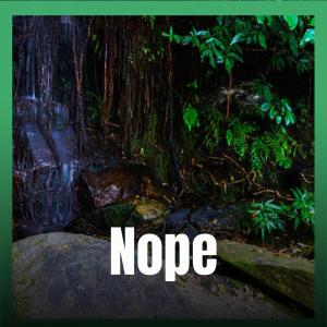 Various的专辑Nope