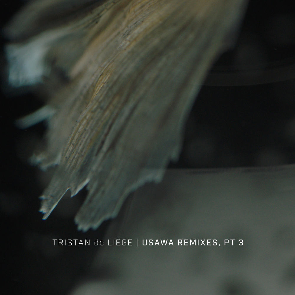 Alegria (Ash Walker Remix)