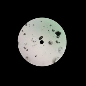 收聽Subtil的Linden Park歌詞歌曲