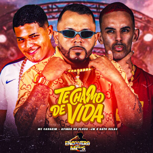 Album Te Chamo de Vida (Explicit) from Afinho do Fluxo