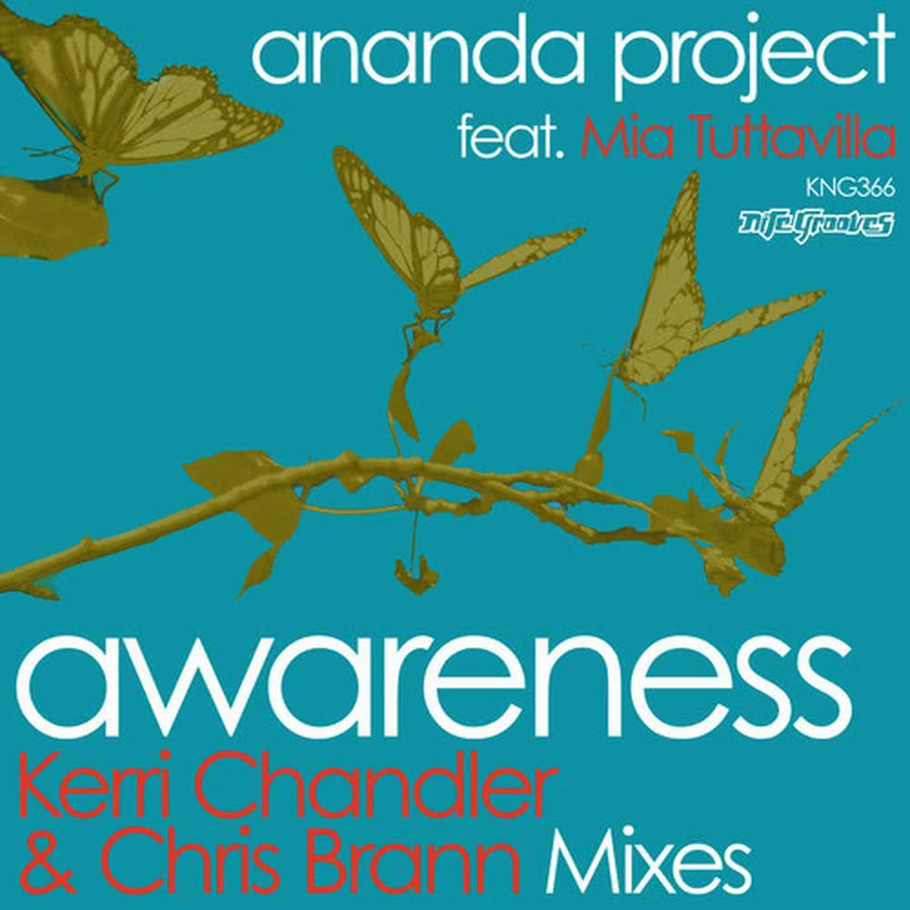 Awareness (Chris Brann Dub) [feat. Mia Tuttavilla]