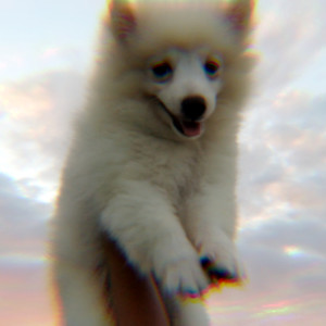 收听Jeff Grecia的Wala Pa Rin歌词歌曲