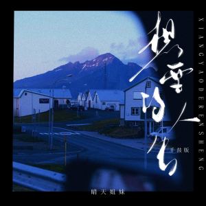 Listen to 想要的人生 (手鼓版) song with lyrics from 晴天姐妹