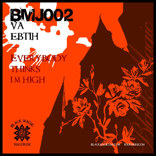 Everybody Thinks I'm High (Bahamut remix)