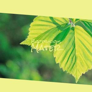 Listen to Contact Another song with lyrics from Milada