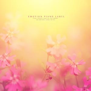 Album Emotional piano that conveys healing in depressed mind oleh Various Artists