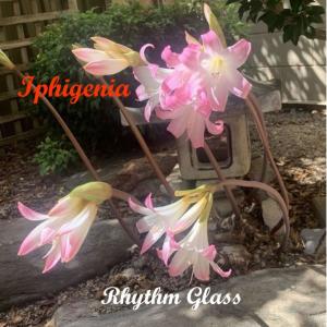 收聽Rhythm Glass的Iphigenia歌詞歌曲