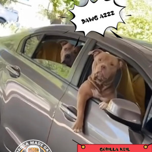Gorilla Keil的專輯Dawg Azz (Explicit)
