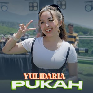 Dengarkan Pukah lagu dari Yulidaria dengan lirik