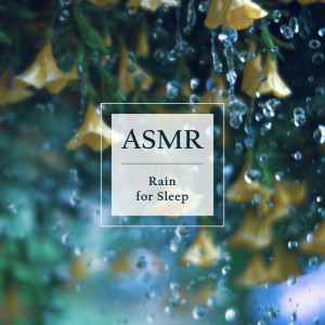 收聽貴族音樂ASMR的流水蟲鳴 (ASMR)歌詞歌曲