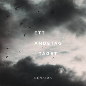 收聽Renaida的Ett andetag i taget歌詞歌曲