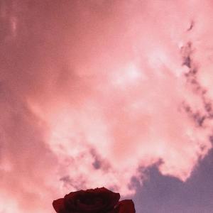 Listen to Cotidiano dos Maloka (Remastered 2023) song with lyrics from TR DO DP