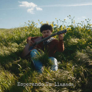 Javier Hernandez的專輯Esperando Tu Llamada