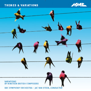 Themes & Variations: Variations by Nineteen British Composers dari Jac van Steen