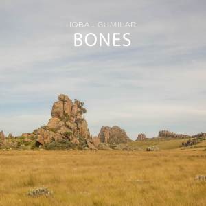 Iqbal Gumilar的专辑Bones (Acoustic Guitar)