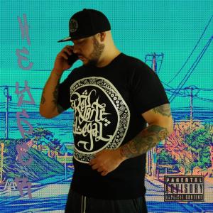 Listen to Solo Gordos Siempre Grises (Explicit) song with lyrics from Heyser