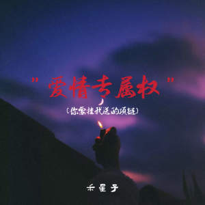 Album 你要挂我送的项链 from 禾星子