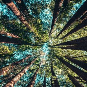 Listen to Mild song with lyrics from Deep Sleep