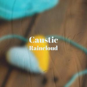 Various的专辑Caustic Raincloud