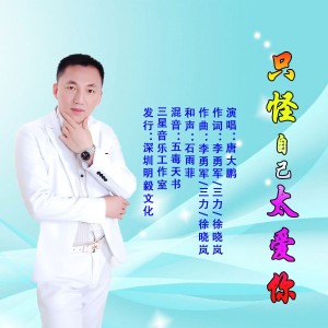 收聽唐大鵬的只怪自己太愛你歌詞歌曲