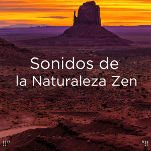 收聽Deep Sleep的Nature Sounds Without Music歌詞歌曲