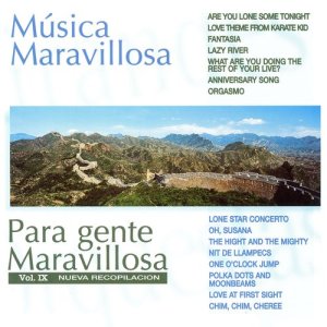 Orquesta Música Maravillosa的專輯Música Maravillosa para Gente Maravillosa Nueva Recopilación Vol. IX