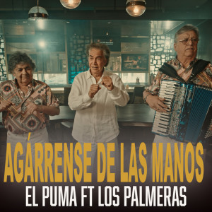 ดาวน์โหลดและฟังเพลง Agárrense De Las Manos พร้อมเนื้อเพลงจาก Los Palmeras