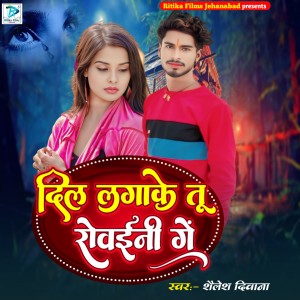Listen to Dil Lagake Tu Rowani Ge song with lyrics from Shailesh Diwana