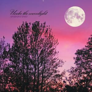Under The Moonlight dari Andantino