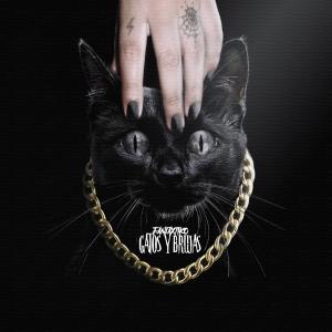 Listen to Gatos y Brujas song with lyrics from fantaxtiko