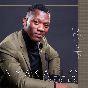 Listen to Ngeke Ngalahla Ukholo song with lyrics from Nyakallo Bangiwe