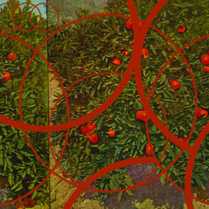 ดาวน์โหลดและฟังเพลง Blue Skies, Green Mountains (Part II) พร้อมเนื้อเพลงจาก Rootless