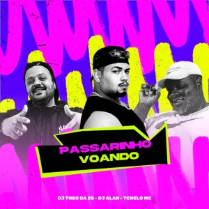 DJ Theo da ZS的專輯PASSARINHO VOANDO (Explicit)