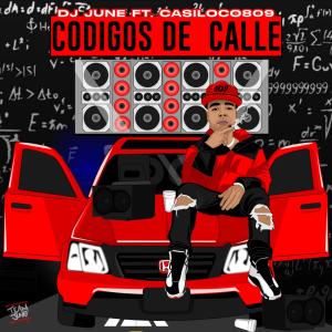 Album Codigos De Calle (feat. Casiloco809) from 