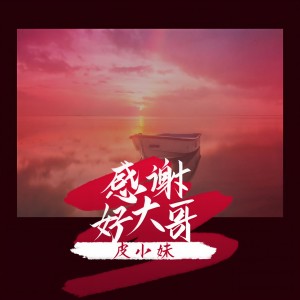 皮小妹的专辑感谢好大哥