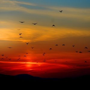 Listen to Windy song with lyrics from Sleep Sounds of Nature