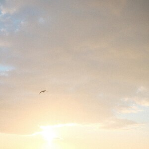 Dryden的專輯another day