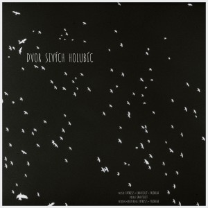 Album Dvor Sivých Holubíc from Pajonear