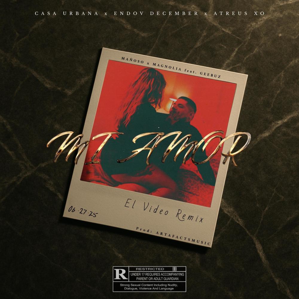 Mi Amor (feat. Geebuz) (El Video Remix|Explicit)