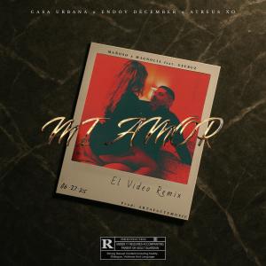 收聽mnso的Mi Amor (feat. Geebuz) (El Video Remix|Explicit)歌詞歌曲