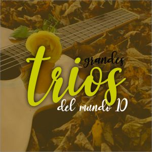 Listen to Donde Estas Corazón song with lyrics from Trio Vegabajeno