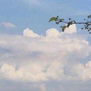 ดาวน์โหลดและฟังเพลง 夏天 พร้อมเนื้อเพลงจาก OCT.7 & Nugget