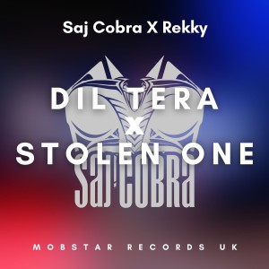 Saj Cobra的專輯Dil Tera X Stolen One (Explicit)