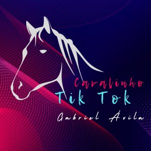 Dengarkan Cavalinho tik tok (Explicit) lagu dari Gabriel Avila dengan lirik